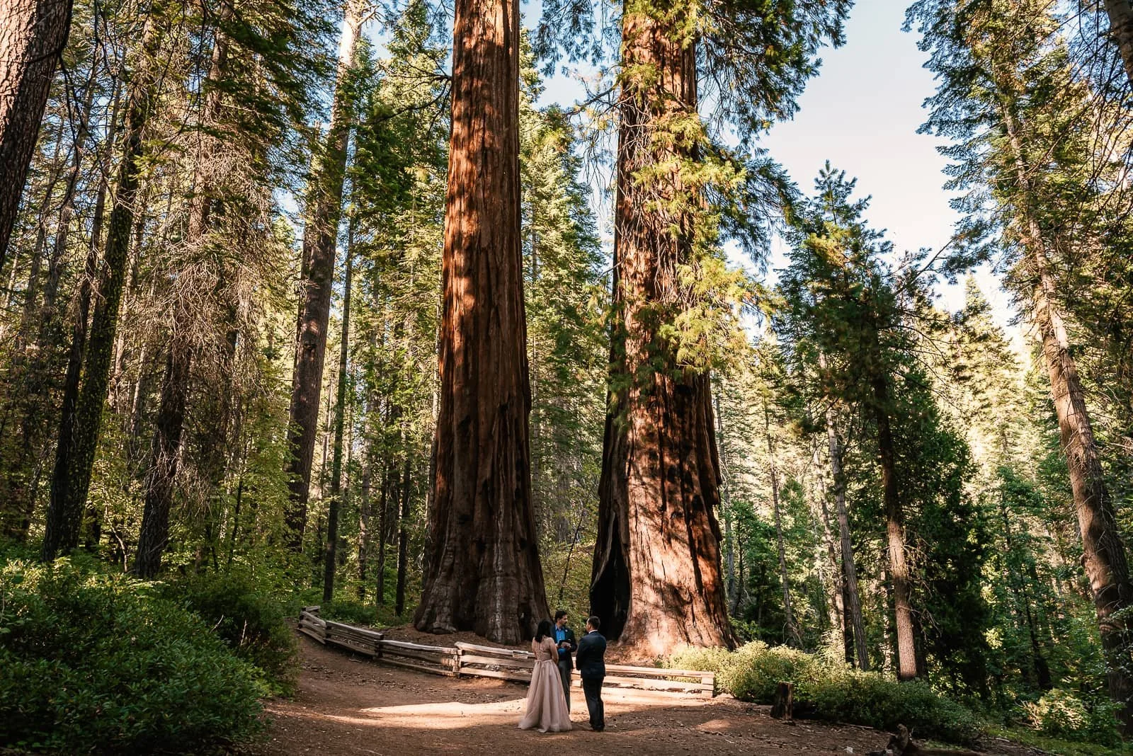 Merced sales grove trail